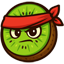 Server Icon